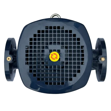 Циркуляционный насос MAXPUMP IL 50-220/11